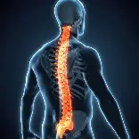 Posture Training